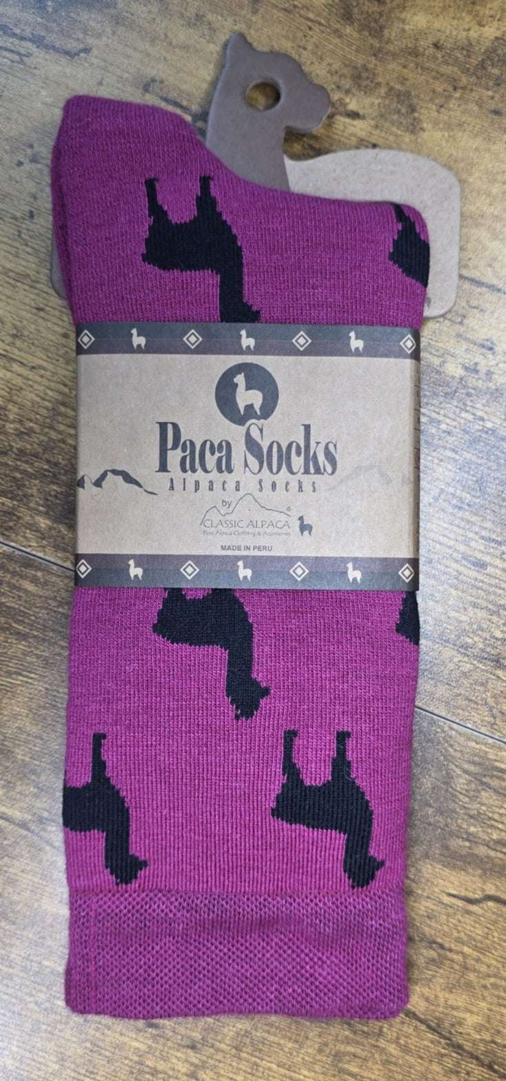 Premium Alpaca Alpaquita Socks