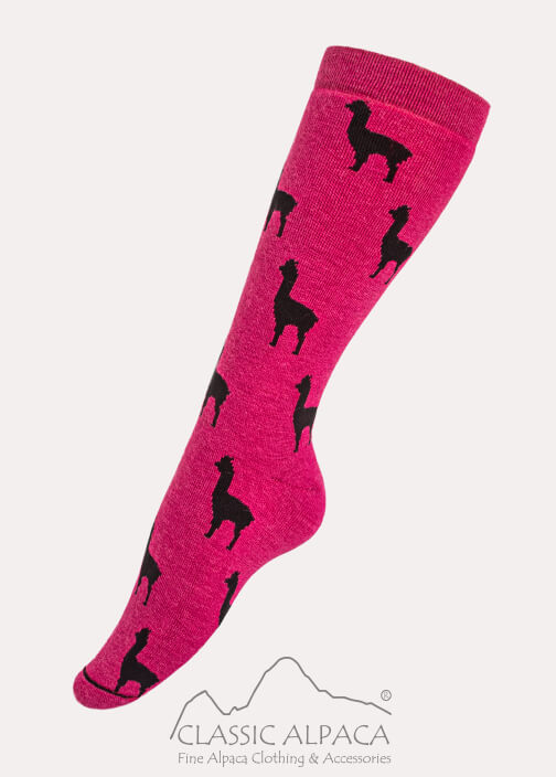 Premium Alpaca Alpaquita Socks