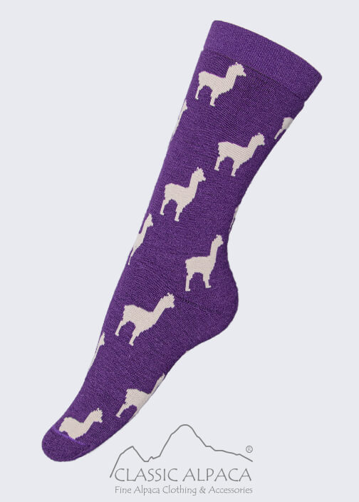 Premium Alpaca Alpaquita Socks